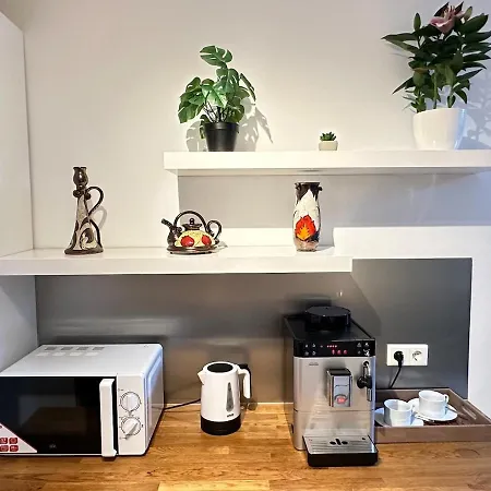 Nest & Rest Garden With Free Parking 3* Σάλτσμπουργκ