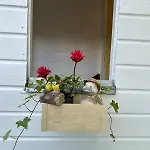 Nest & Rest Garden With Free Parking 3*