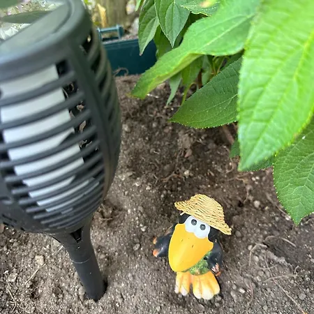 Nest & Rest Garden With Free Parking 3* Salzburg