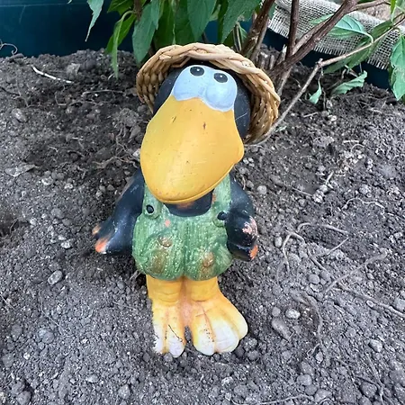 Gæstehus Nest & Rest Garden With Free Parking 3*