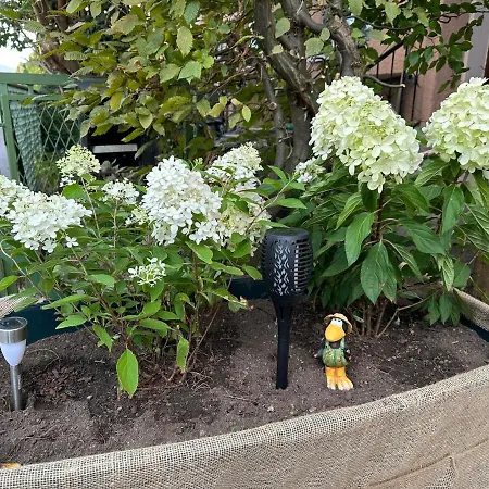 בית הארחה Nest & Rest Garden With Free Parking זלצבורג