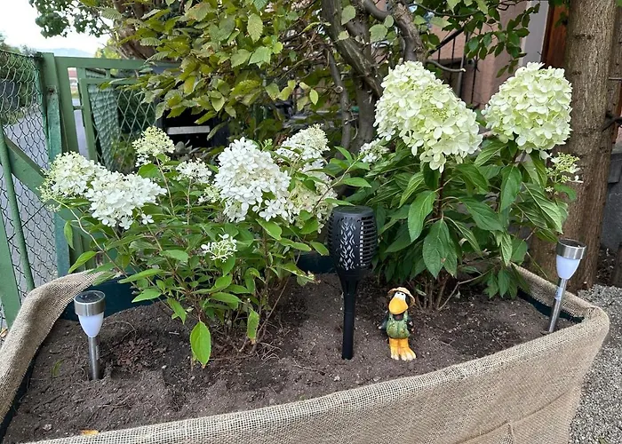 ゲストハウス Nest & Rest Garden With Free Parking ザルツブルク